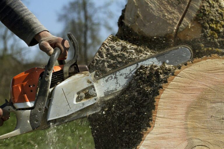 tree felling pros Cutting trees tree felling machinery 768x512