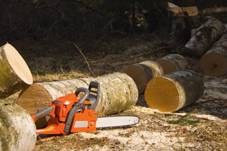 tree felling pros Tree Felling Logs 1 768x512