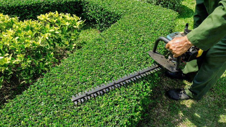 Cutting hedge 768x432