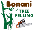 Bonani Tree Felling 1