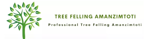 Tree Felling Amanzimtoti