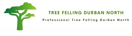 Tree Felling Durban North