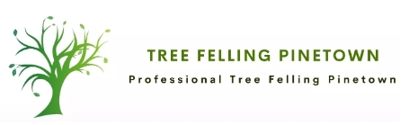 Tree Felling Pinetown