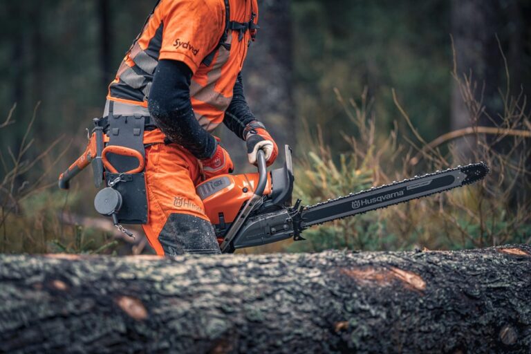 Tree Cutting in Pretoria East 768x512